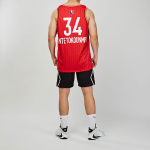 Jordan NBAAll-Star Edition Swingman Jersey - Giannis Antetokounmpo NBA2020