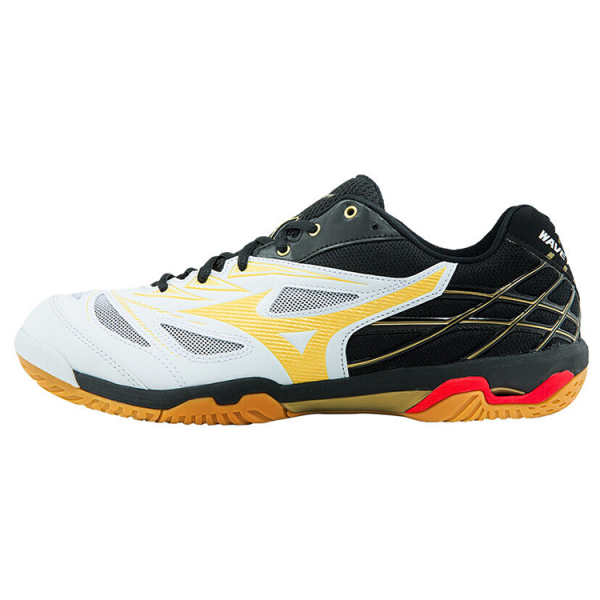 Mizuno Fang