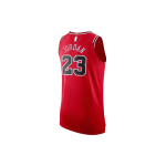 Jordan NBA Icon Edition Authentic Jersey (Chicago Bulls) AU