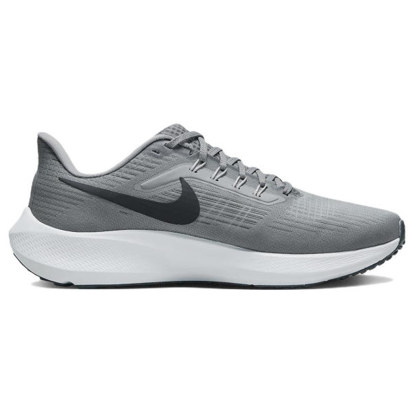Nike Air Zoom Pegasus 39