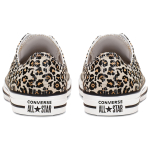 Converse Chuck Taylor All Star Archive Print
