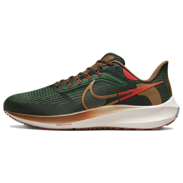 Nike Air Zoom Pegasus 39 "a.i.r. hola lou"