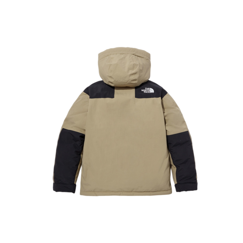 THE NORTH FACE dryvent Logo