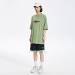 ICONS Lab T