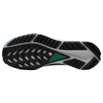 Nike Pegasus Trail 4 Gore-Tex