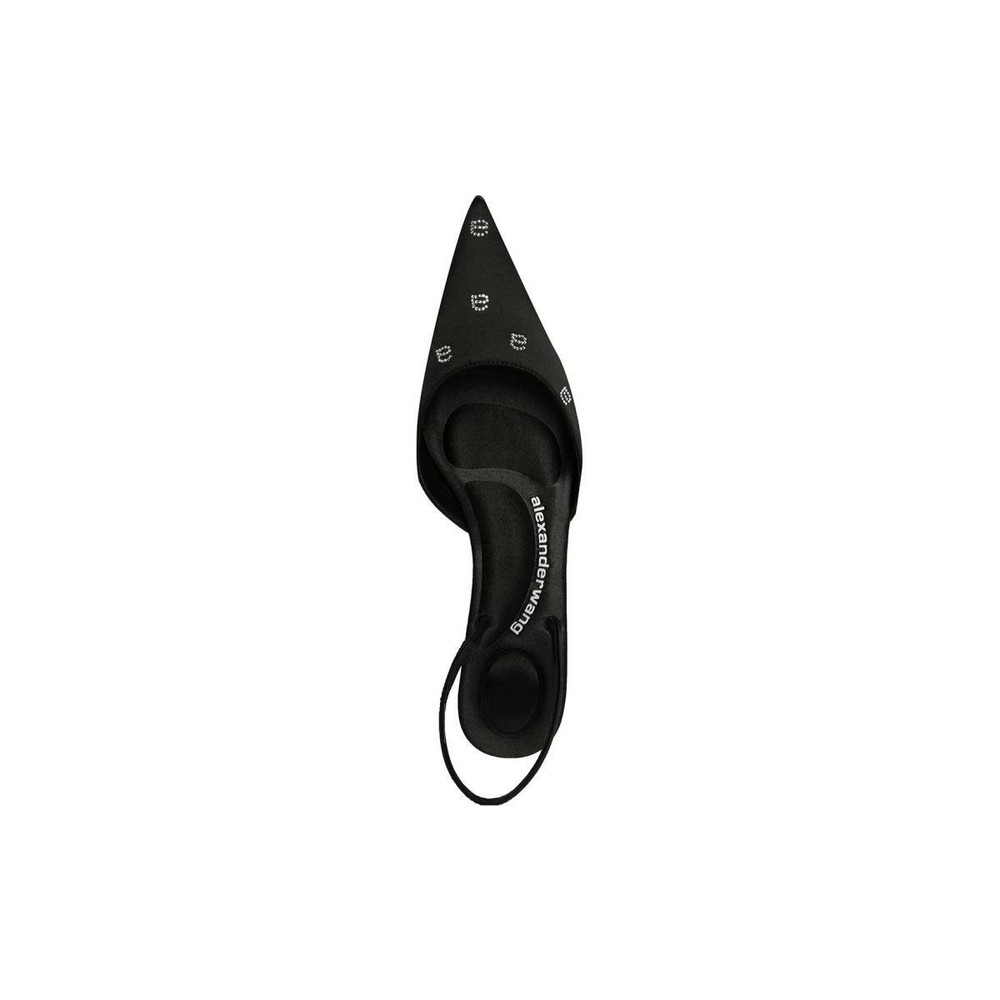 Alexander wang Delphine 65