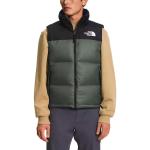 THE NORTH FACE FW22 1996 Retro Nuptse 700