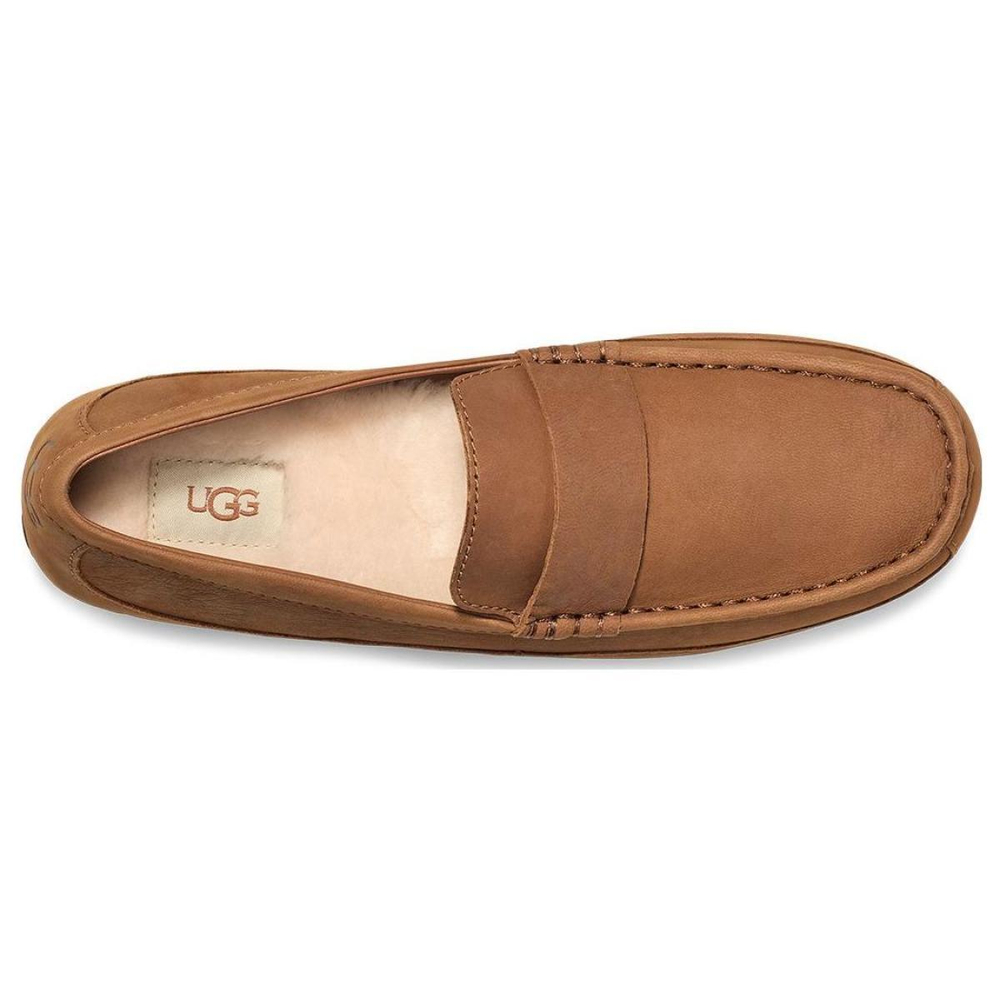 UGG Chadton