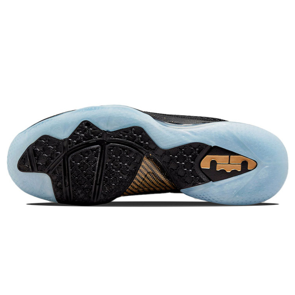 Nike Lebron 9 "King" 9 TPU