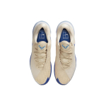 Nike Court Zoom Vapor Cage 4