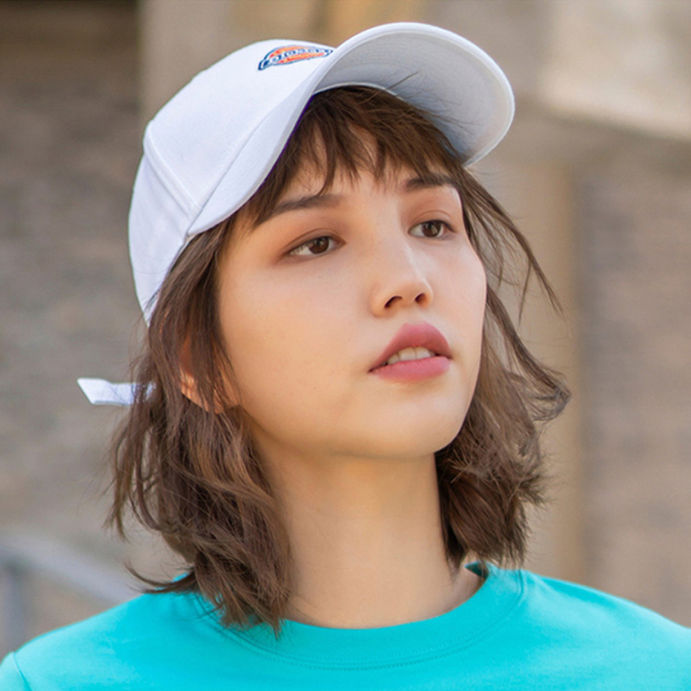 Dickies Logo