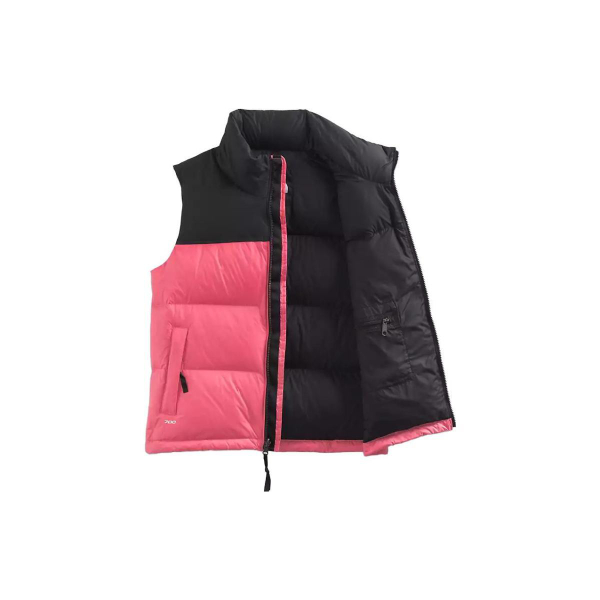 THE NORTH FACE 1996 Logo