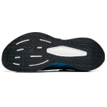 Anta 1