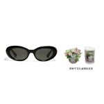 【 】 GENTLE MONSTER Le 01