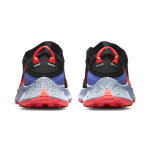 Nike Pegasus Trail 3 GTX