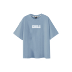 ICONS Lab T
