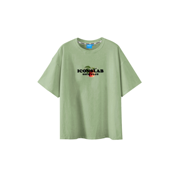 ICONS Lab T