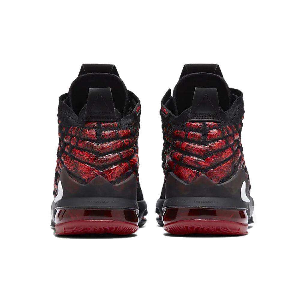 Nike Lebron 17