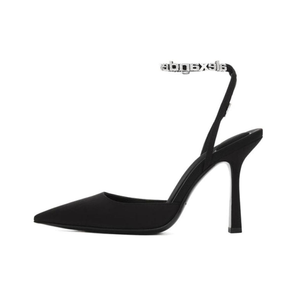 Alexander wang Delphine