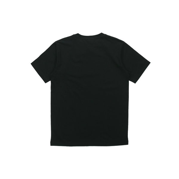 Champion C T