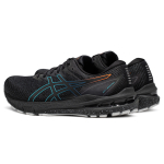 Asics GT-2000 10