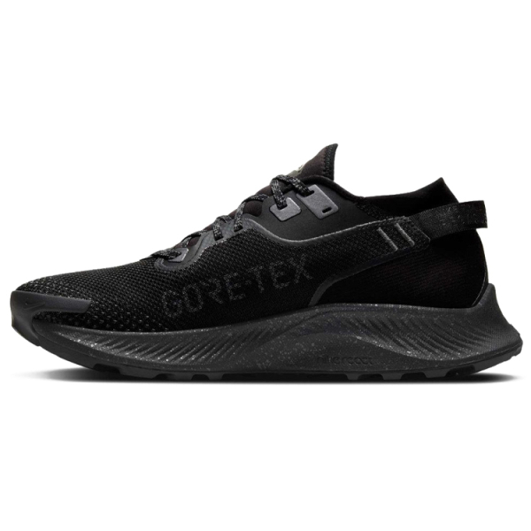 Nike Pegasus Trail 2 GORE-TEX
