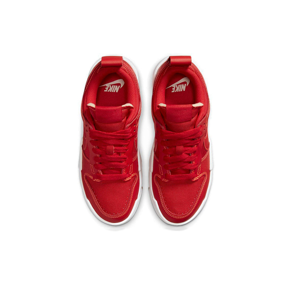 Nike Dunk Disrupt