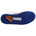 PUMA Palace Guard