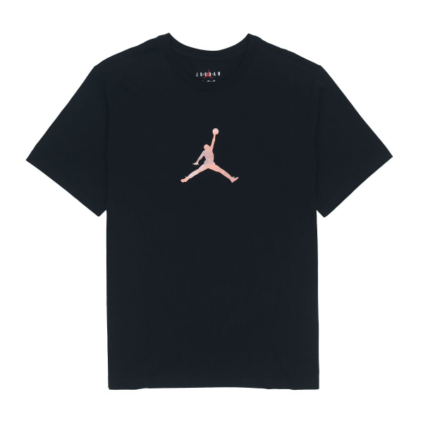 Jordan Sport DNA Logo T