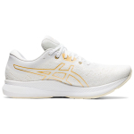 Asics EvoRide 1
