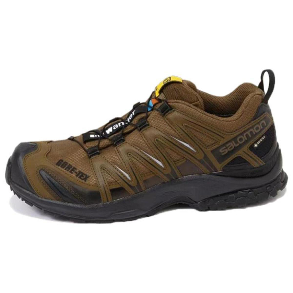 SALOMON XA PRO 3D