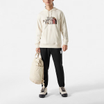 THE NORTH FACE Logo