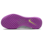 Nike Zoom Court NXT HC