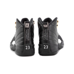 Jordan Air Jordan 12 Retro The Master