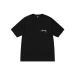 Stussy Arachnid Tee Pigment Dyed T
