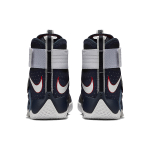 Nike zoom soldier 10 LeBron USA