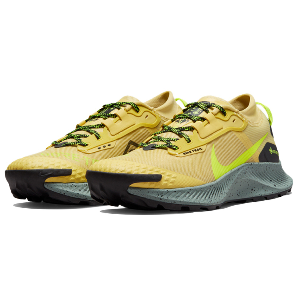 Nike Pegasus Trail 3 GTX