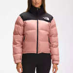 THE NORTH FACE FW22 Logo