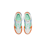 Nike Dunk "Nike 101"