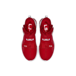 Nike zoom soldier 13 LeBron SFG (Team)