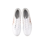 Asics DS LIGHT DS LIGHT AG（ ）