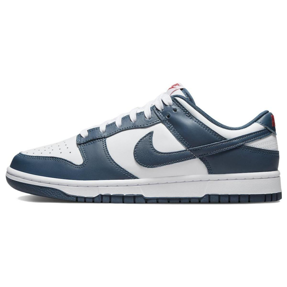 Nike Dunk Retro "Valerian Blue"