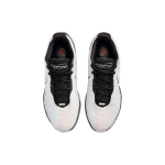 Nike Lebron 21 "Conchiolin" EP