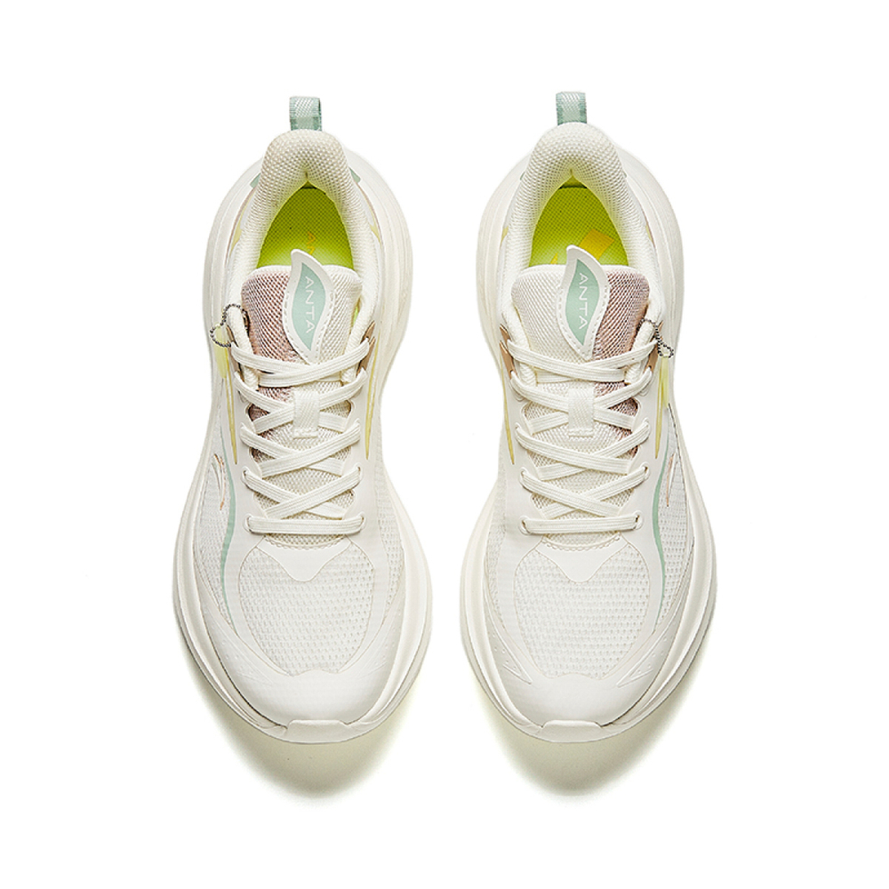 Anta 3.0