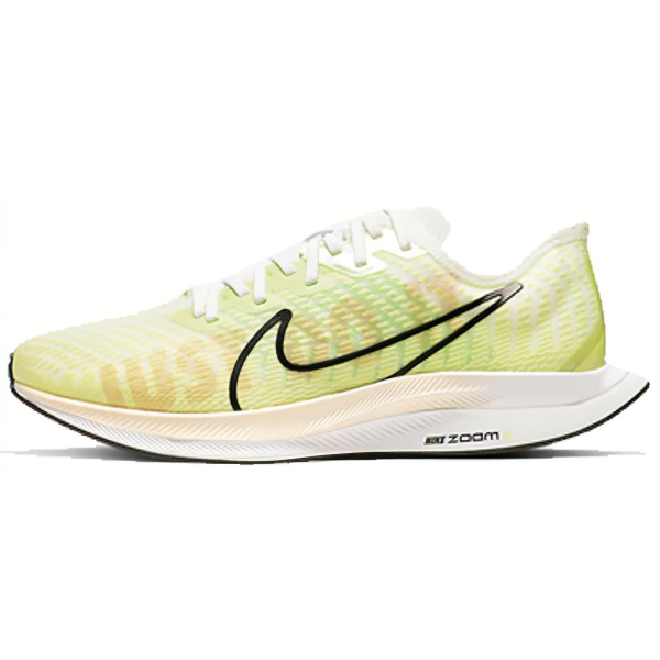 Nike Pegasus turbo 2