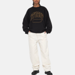 Stussy FW23 VARSITY OVERSIZED CREW Logo
