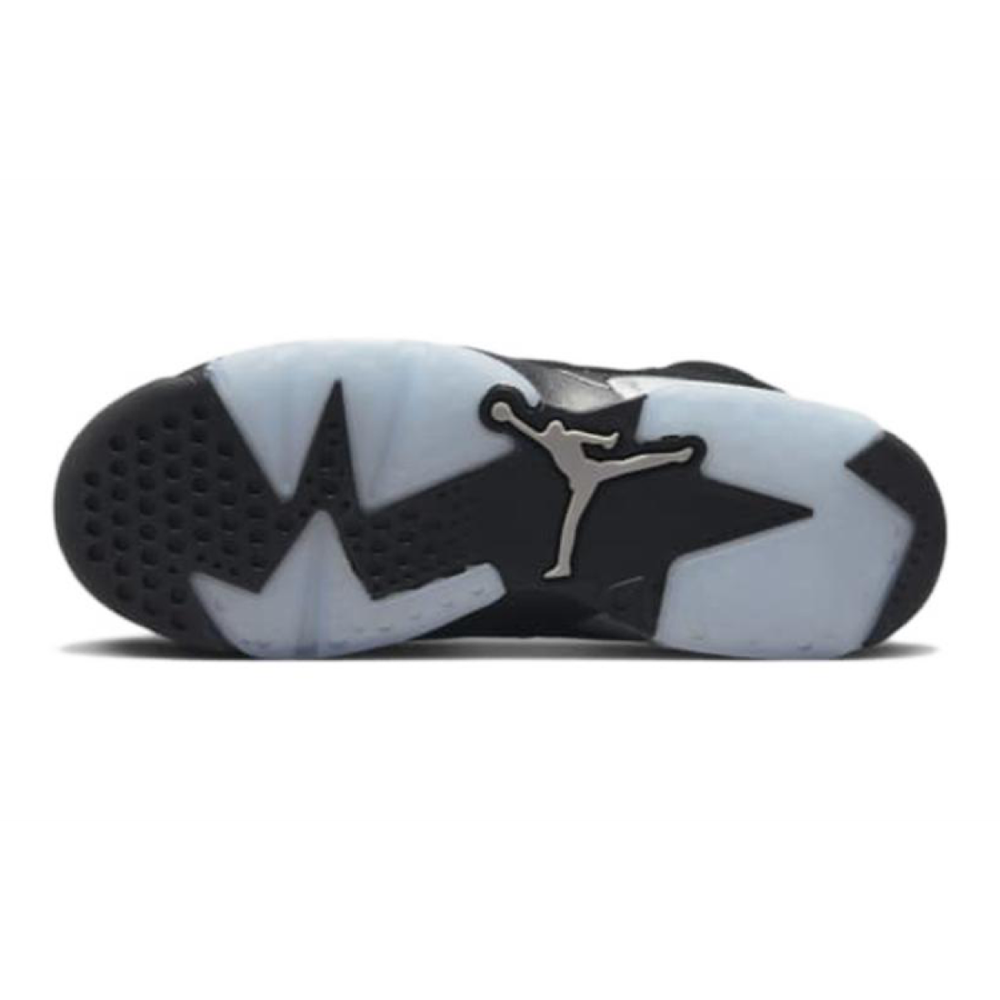 Jordan Air Jordan 6 Metallic Silver