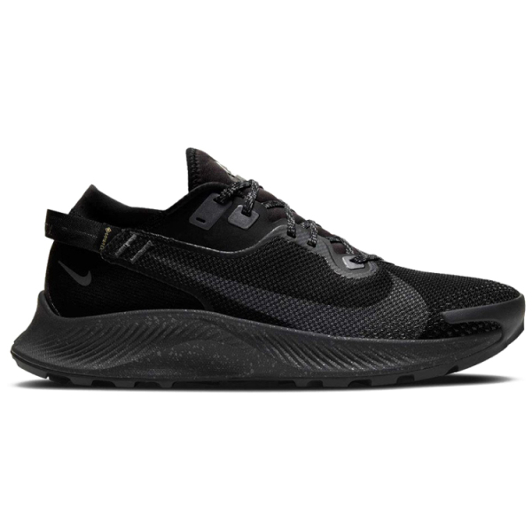 Nike Pegasus Trail 2 GORE-TEX