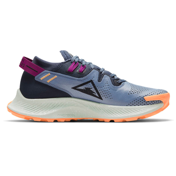 Nike Pegasus Trail 2