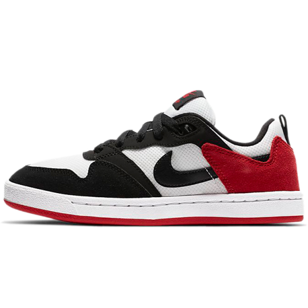 Nike SB Alleyoop